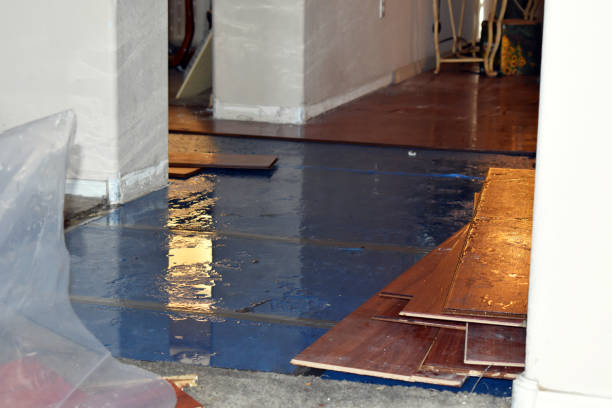 Professional Sewage Cleanup technician working in Grasston, MN